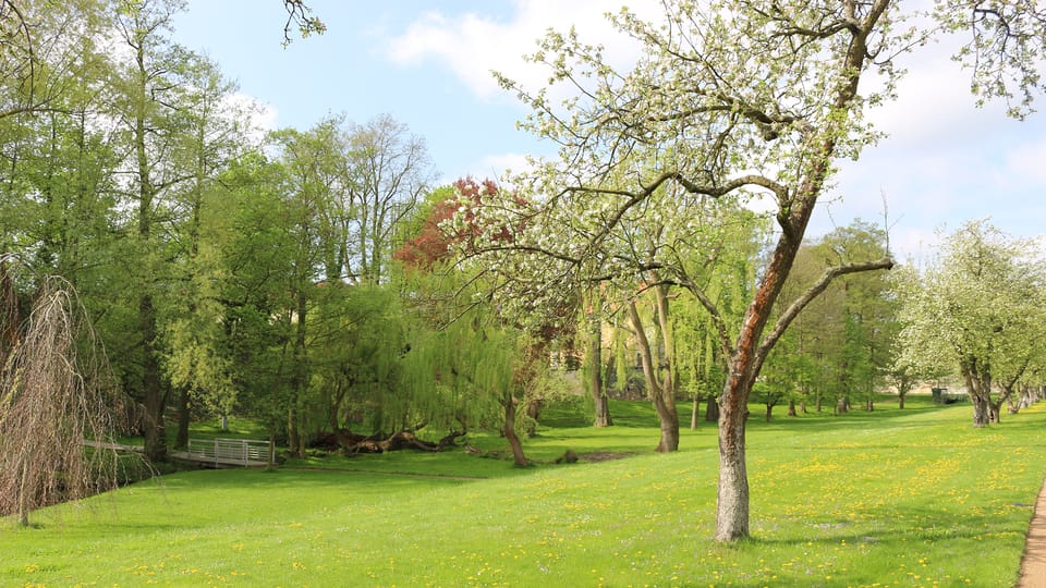 El parque del palacio de Ctěnice, foto: Dominika Bernáthová El parque del palacio de Ctěnice, foto: Dominika Bernáthová