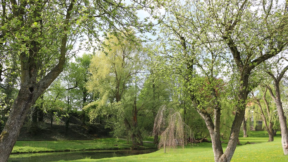 El parque del palacio de Ctěnice, foto: Dominika Bernáthová El parque del palacio de Ctěnice, foto: Dominika Bernáthová