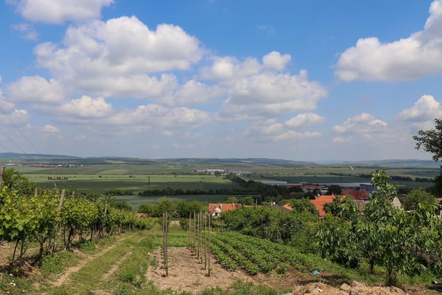 Moravia del Sur | Foto: Peter Pitoňák,  Pixabay,  Pixabay License