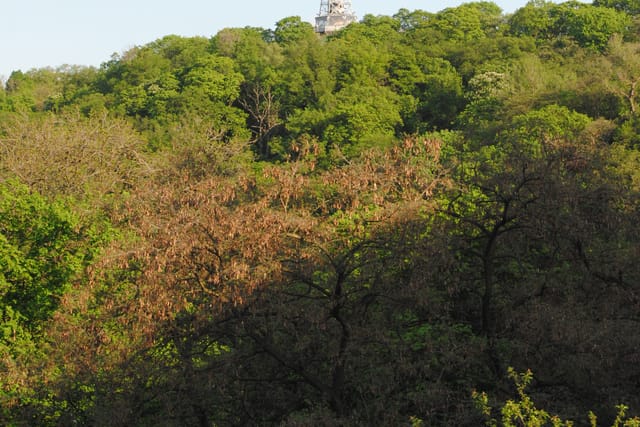 Petřín  (Foto: Jiří Roun,  Fotokartmen.cz)