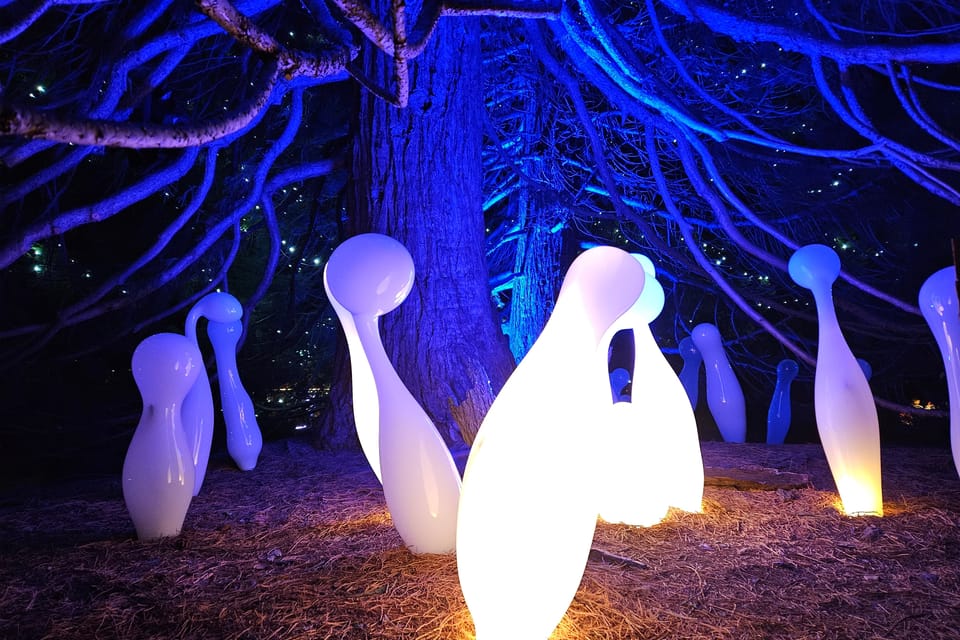 Exposición «Jardín de Cristal» en el Jardín Botánico de Praga | Foto: Štěpánka Budková, Radio Prague International Exposición «Jardín de Cristal» en el Jardín Botánico de Praga | Foto: Štěpánka Budková, Radio Prague International