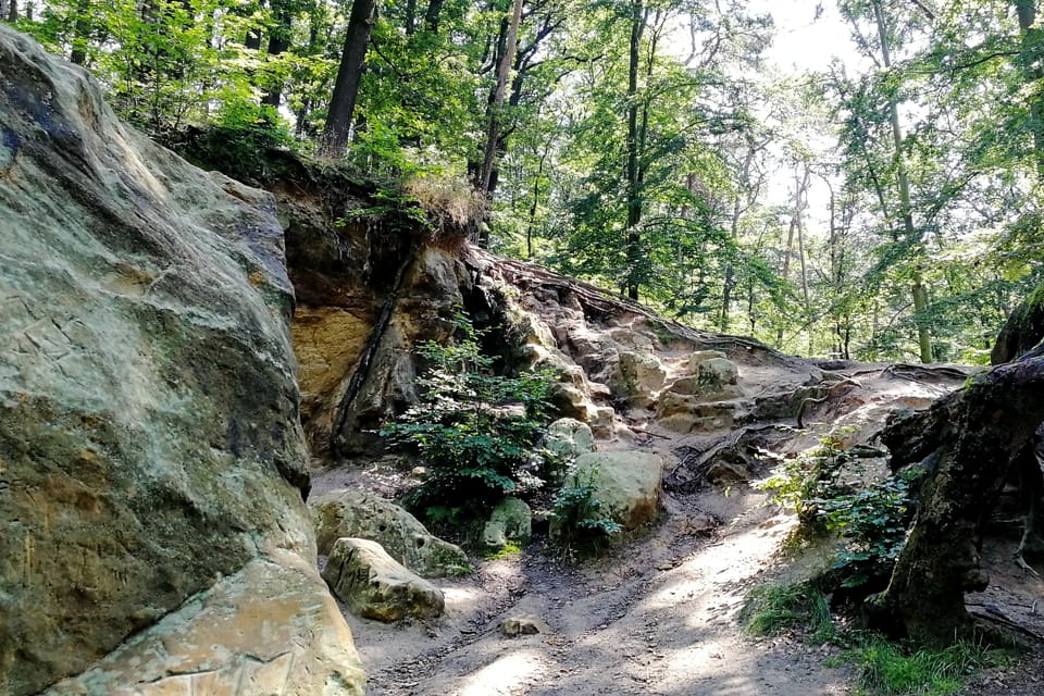 El parque Hvězda, foto: Štěpánka Budková El parque Hvězda, foto: Štěpánka Budková
