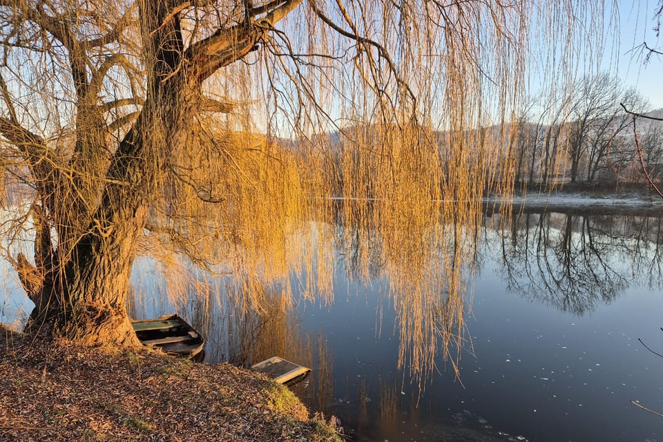 El río Berounka cerca de Všenory | Foto: Hana Slavická, Radio Prague International El río Berounka cerca de Všenory | Foto: Hana Slavická, Radio Prague International