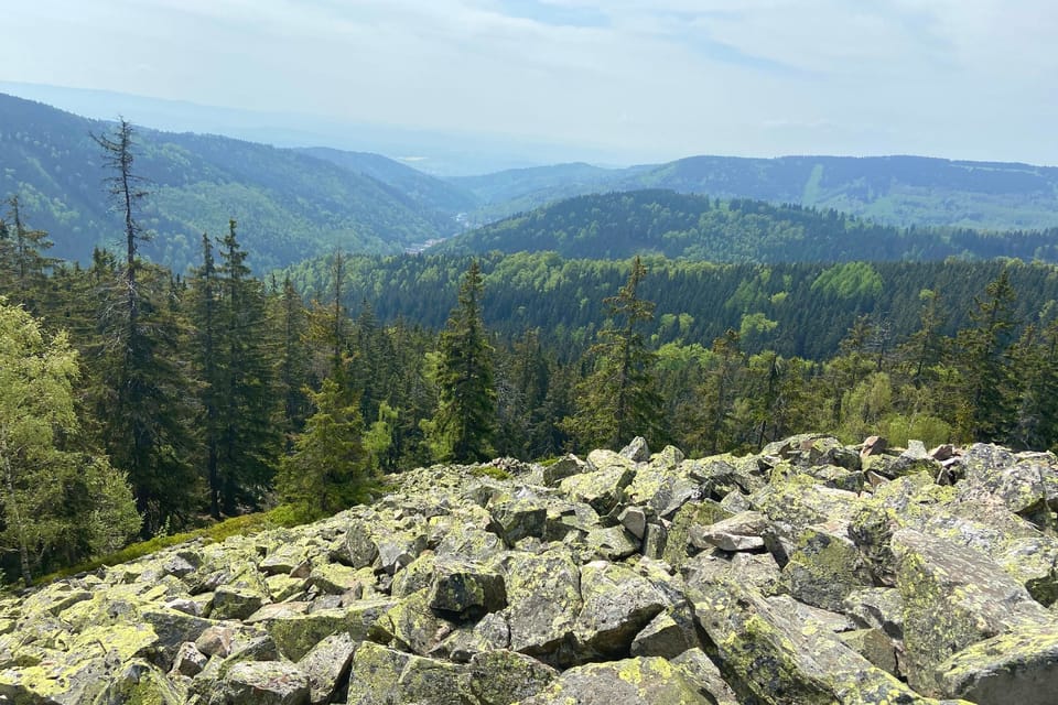 Foto: Jana Strejčková,  Český rozhlas