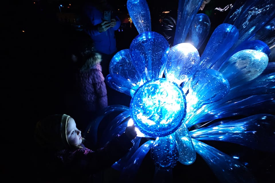 Exposición «Jardín de Cristal» en el Jardín Botánico de Praga | Foto: Štěpánka Budková, Radio Prague International Exposición «Jardín de Cristal» en el Jardín Botánico de Praga | Foto: Štěpánka Budková, Radio Prague International