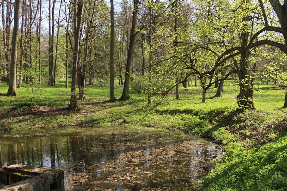El parque de Konopiště | Foto: Štěpánka Budková, Radio Prague International El parque de Konopiště | Foto: Štěpánka Budková, Radio Prague International