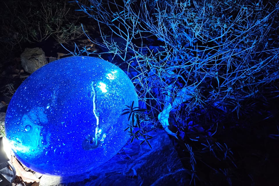 Exposición «Jardín de Cristal» en el Jardín Botánico de Praga | Foto: Štěpánka Budková, Radio Prague International Exposición «Jardín de Cristal» en el Jardín Botánico de Praga | Foto: Štěpánka Budková, Radio Prague International