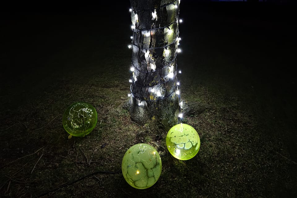 Exposición «Jardín de Cristal» en el Jardín Botánico de Praga | Foto: Štěpánka Budková, Radio Prague International Exposición «Jardín de Cristal» en el Jardín Botánico de Praga | Foto: Štěpánka Budková, Radio Prague International