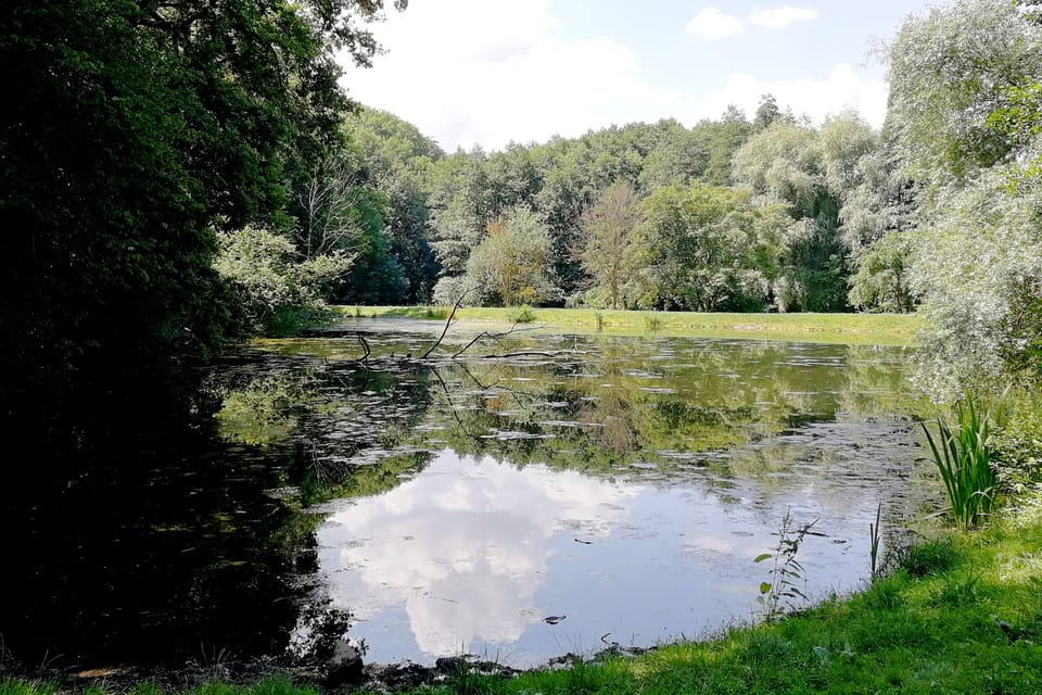 Foto: Štěpánka Budková