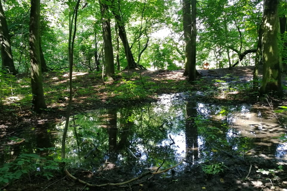 Foto: Štěpánka Budková