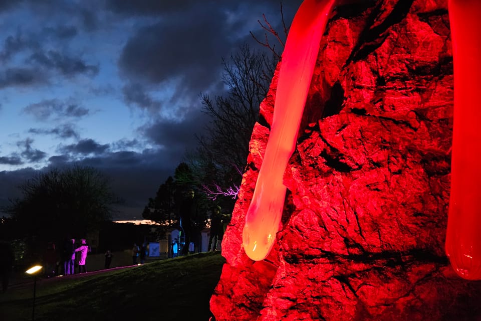Exposición «Jardín de Cristal» en el Jardín Botánico de Praga | Foto: Štěpánka Budková, Radio Prague International Exposición «Jardín de Cristal» en el Jardín Botánico de Praga | Foto: Štěpánka Budková, Radio Prague International