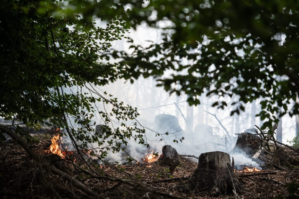 Foto: René Volfík,  Český rozhlas