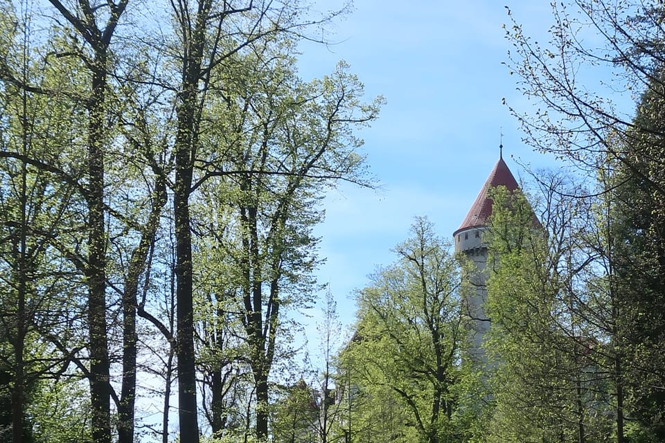 Palacio de Konopiště | Foto: Štěpánka Budková,  Radio Prague International