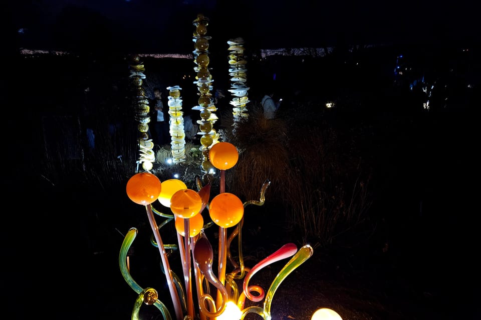 Exposición «Jardín de Cristal» en el Jardín Botánico de Praga | Foto: Štěpánka Budková, Radio Prague International Exposición «Jardín de Cristal» en el Jardín Botánico de Praga | Foto: Štěpánka Budková, Radio Prague International