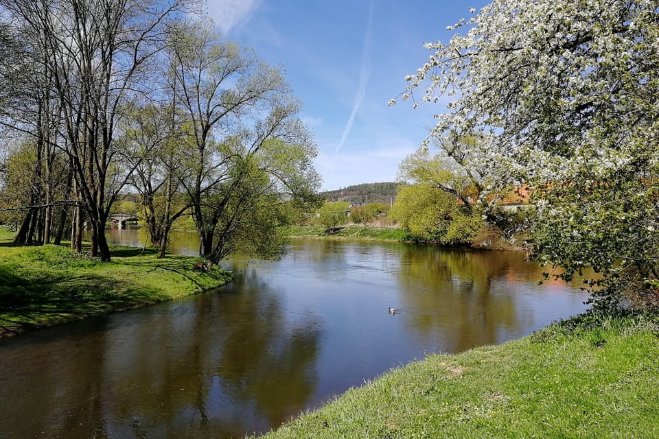 El riachuelo de Konopiště y el río de Sázava en Poříčí nad Sázavou | Foto: Štěpánka Budková, Radio Prague International El riachuelo de Konopiště y el río de Sázava en Poříčí nad Sázavou | Foto: Štěpánka Budková, Radio Prague International