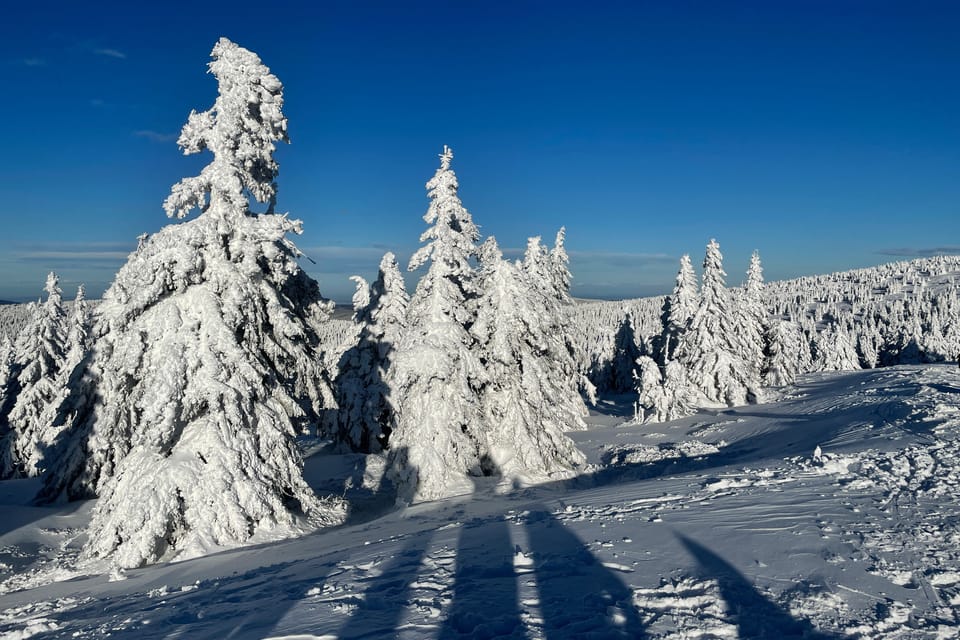 Foto: Ondřej Tomšů