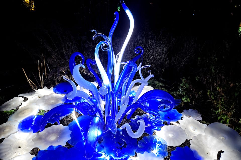Exposición «Jardín de Cristal» en el Jardín Botánico de Praga | Foto: Štěpánka Budková, Radio Prague International Exposición «Jardín de Cristal» en el Jardín Botánico de Praga | Foto: Štěpánka Budková, Radio Prague International