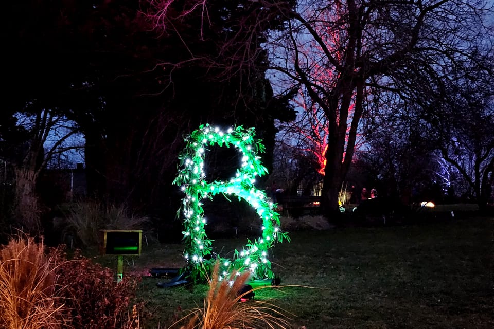Exposición «Jardín de Cristal» en el Jardín Botánico de Praga | Foto: Štěpánka Budková, Radio Prague International Exposición «Jardín de Cristal» en el Jardín Botánico de Praga | Foto: Štěpánka Budková, Radio Prague International