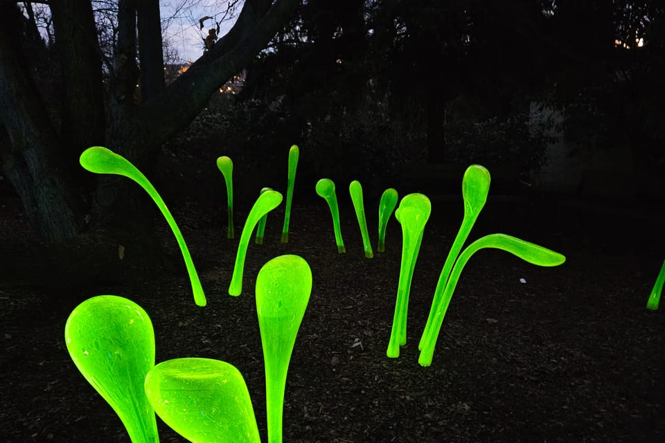 Exposición «Jardín de Cristal» en el Jardín Botánico de Praga | Foto: Štěpánka Budková, Radio Prague International Exposición «Jardín de Cristal» en el Jardín Botánico de Praga | Foto: Štěpánka Budková, Radio Prague International