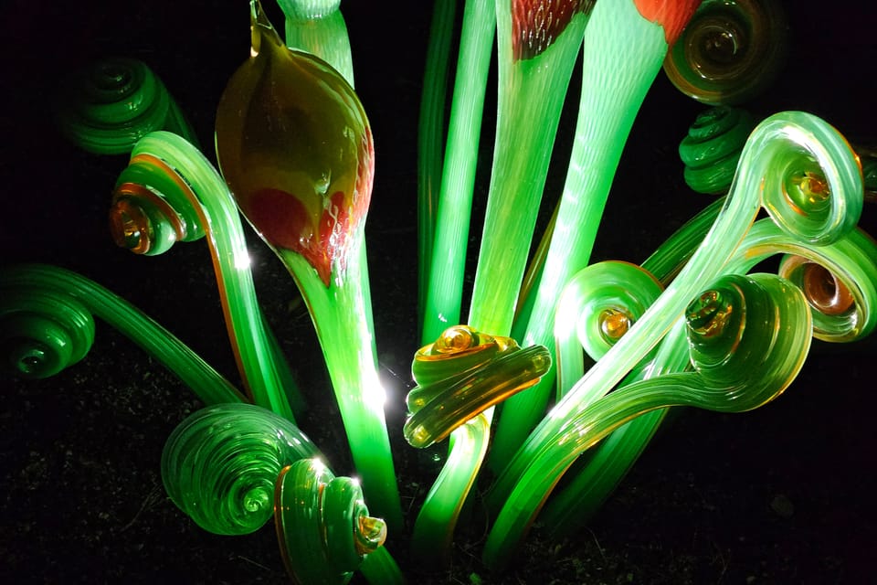 Exposición «Jardín de Cristal» en el Jardín Botánico de Praga | Foto: Štěpánka Budková, Radio Prague International Exposición «Jardín de Cristal» en el Jardín Botánico de Praga | Foto: Štěpánka Budková, Radio Prague International