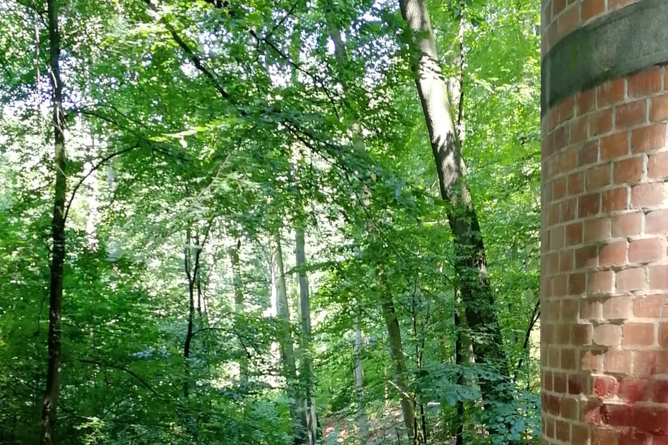 El parque Hvězda, foto: Štěpánka Budková El parque Hvězda, foto: Štěpánka Budková