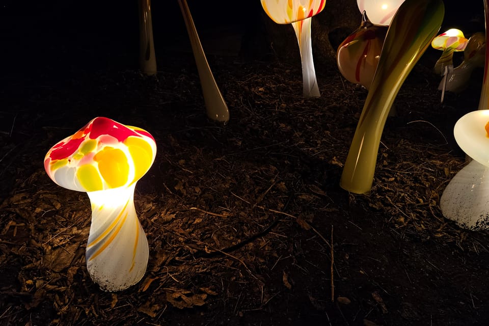 Exposición «Jardín de Cristal» en el Jardín Botánico de Praga | Foto: Štěpánka Budková,  Radio Prague International