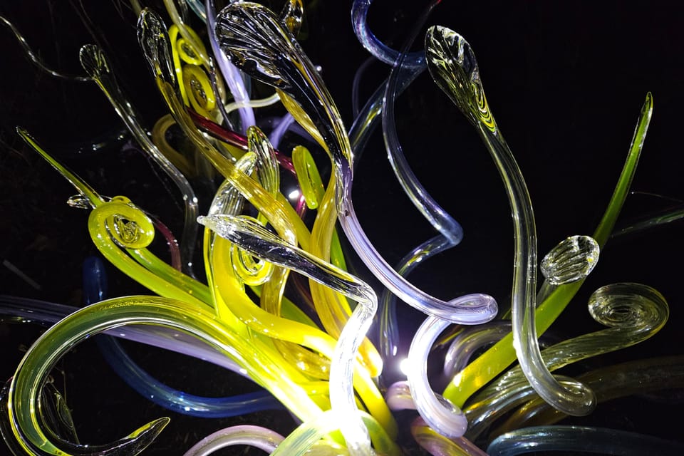Exposición «Jardín de Cristal» en el Jardín Botánico de Praga | Foto: Štěpánka Budková, Radio Prague International Exposición «Jardín de Cristal» en el Jardín Botánico de Praga | Foto: Štěpánka Budková, Radio Prague International