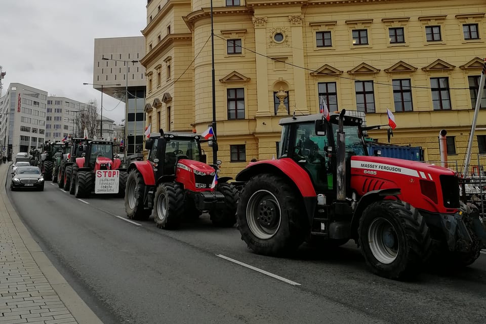 Foto: Štěpánka Budková,  Radio Prague International