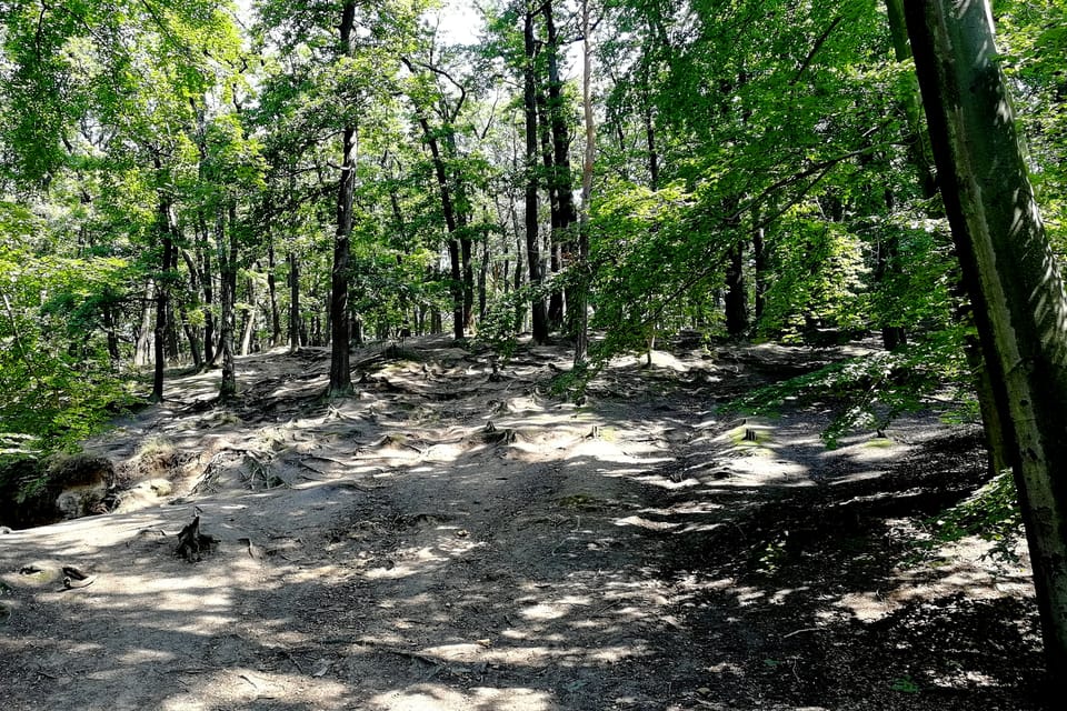 El parque Hvězda, foto: Štěpánka Budková El parque Hvězda, foto: Štěpánka Budková