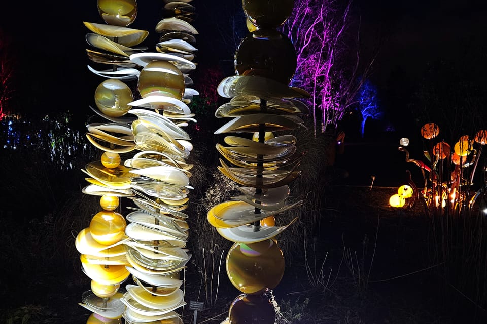 Exposición «Jardín de Cristal» en el Jardín Botánico de Praga | Foto: Štěpánka Budková, Radio Prague International Exposición «Jardín de Cristal» en el Jardín Botánico de Praga | Foto: Štěpánka Budková, Radio Prague International