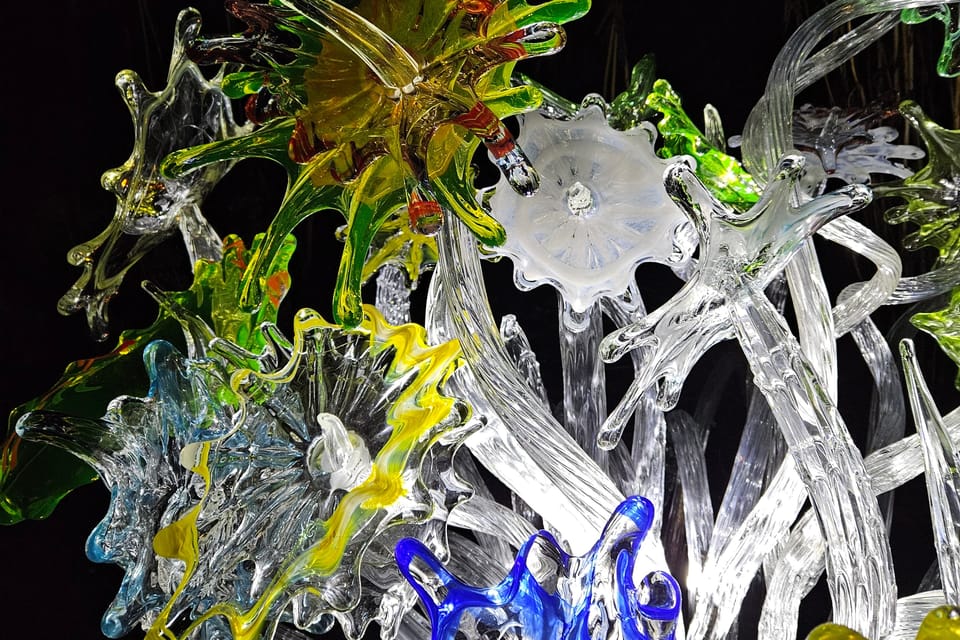Exposición «Jardín de Cristal» en el Jardín Botánico de Praga | Foto: Štěpánka Budková, Radio Prague International Exposición «Jardín de Cristal» en el Jardín Botánico de Praga | Foto: Štěpánka Budková, Radio Prague International