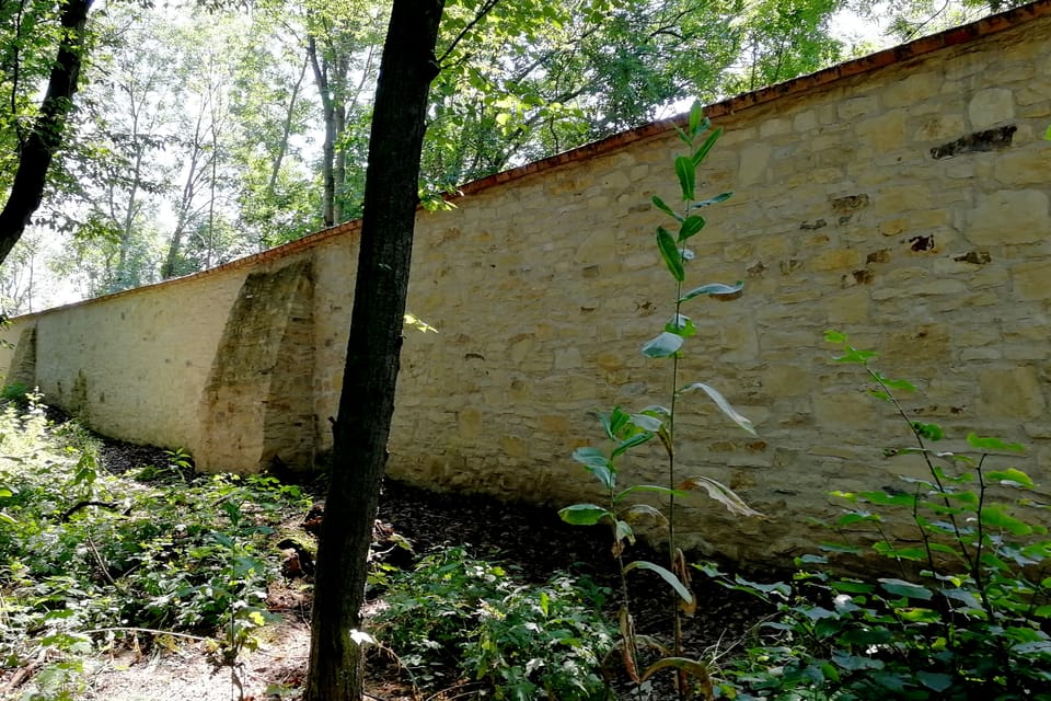 Foto: Štěpánka Budková