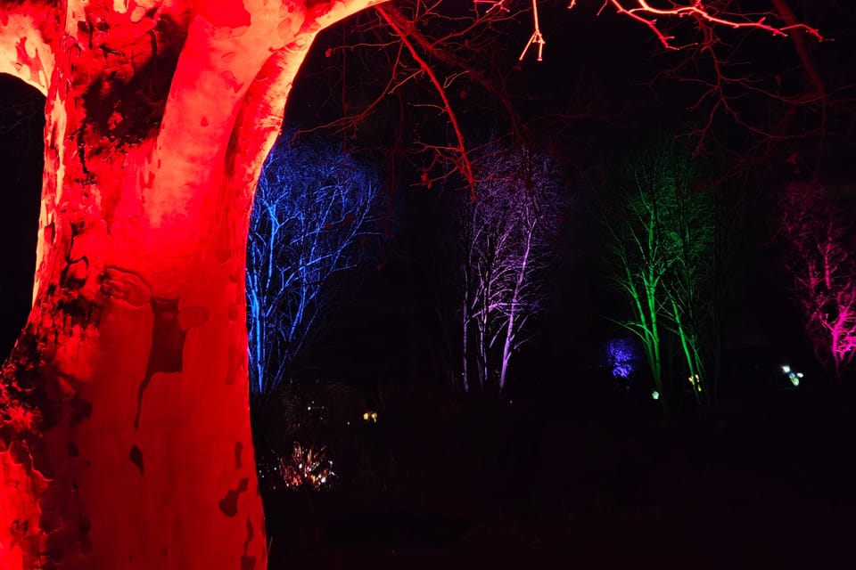 Exposición «Jardín de Cristal» en el Jardín Botánico de Praga | Foto: Štěpánka Budková,  Radio Prague International