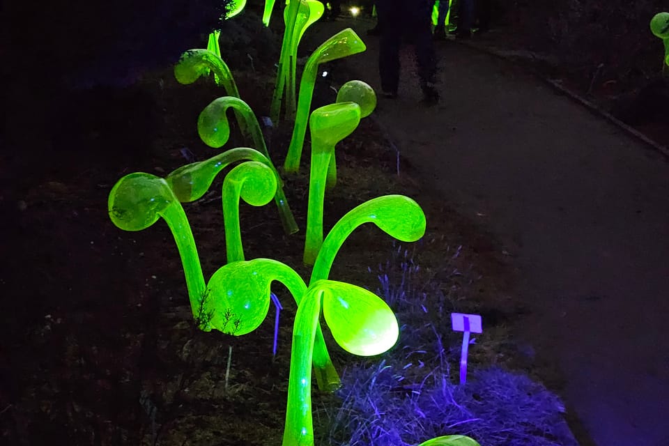 Exposición «Jardín de Cristal» en el Jardín Botánico de Praga | Foto: Štěpánka Budková,  Radio Prague International