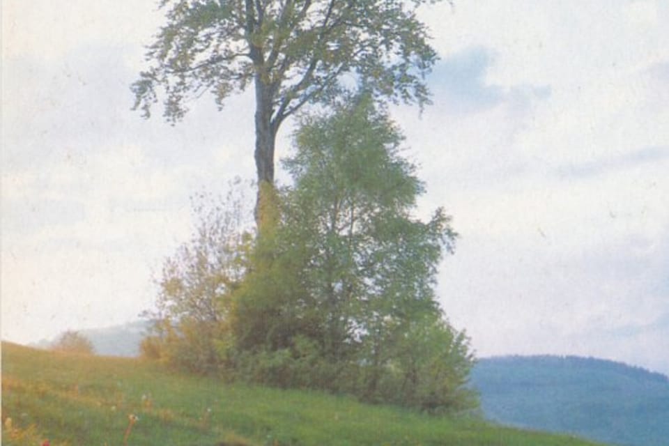Tarjeta QSL 1992 | Foto: APF Český rozhlas Tarjeta QSL 1992 | Foto: APF Český rozhlas