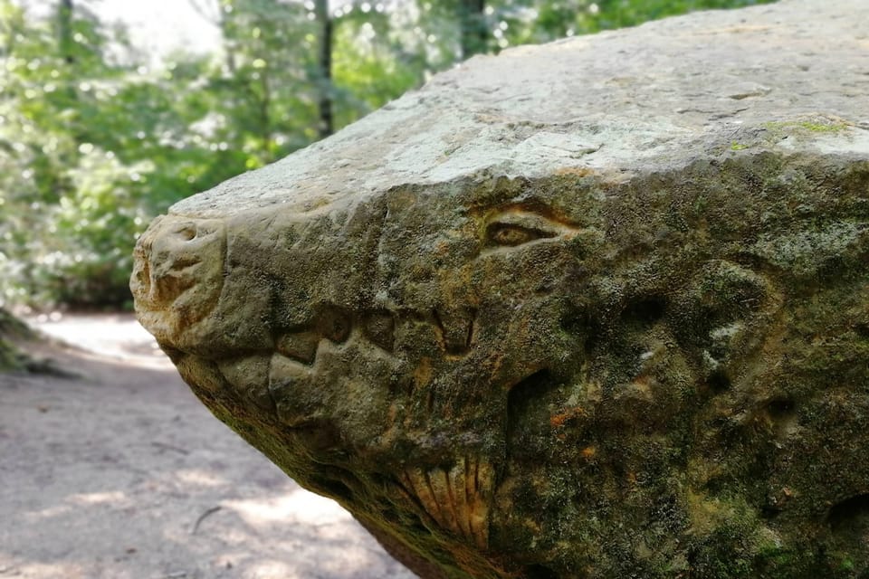 El parque Hvězda, foto: Štěpánka Budková El parque Hvězda, foto: Štěpánka Budková