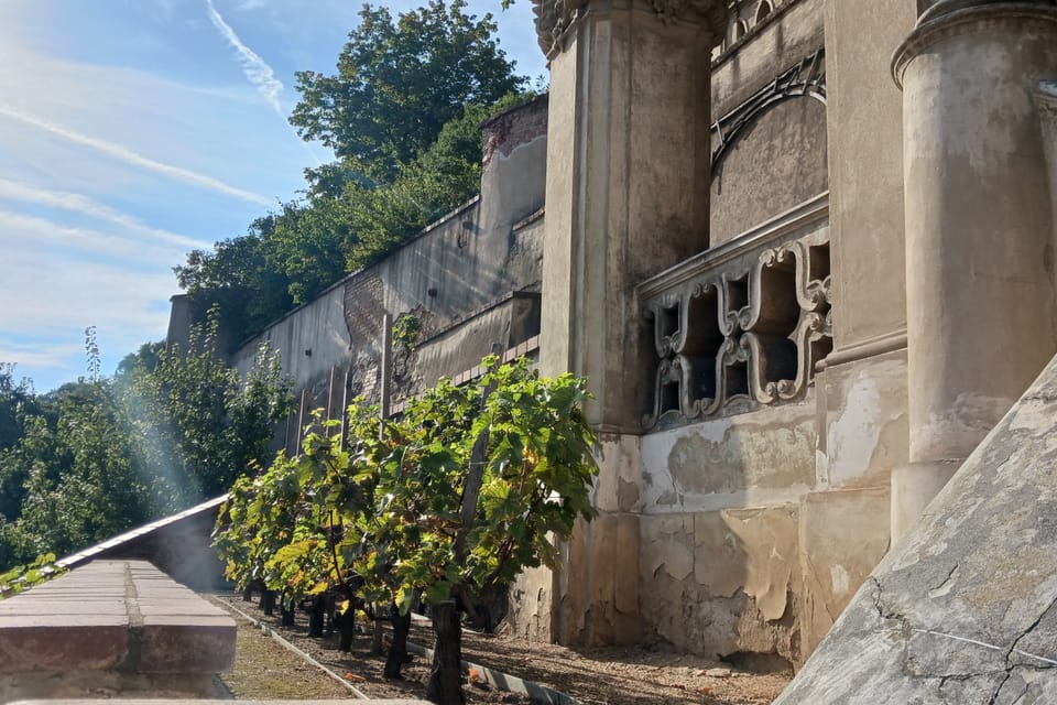 El jardín Gran Pálffy | Foto: Lenka Žižková,  Radio Prague International