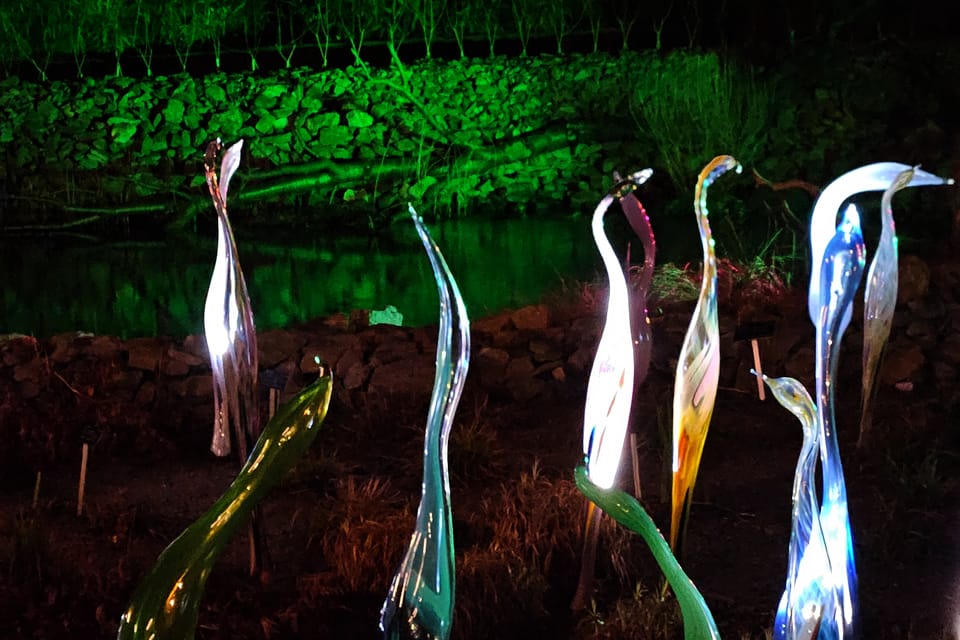 Exposición «Jardín de Cristal» en el Jardín Botánico de Praga