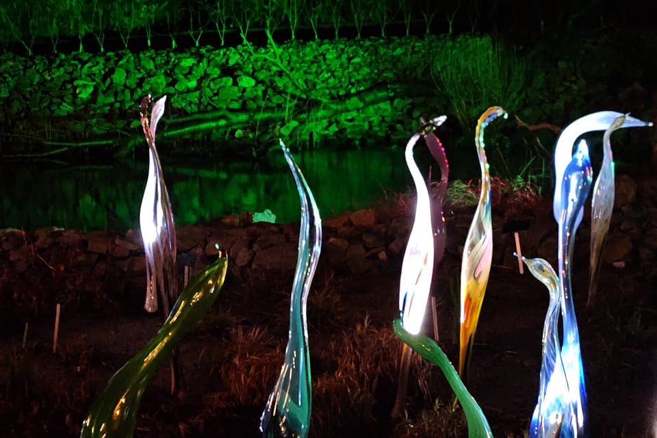 Exposición «Jardín de Cristal» en el Jardín Botánico de Praga Exposición «Jardín de Cristal» en el Jardín Botánico de Praga