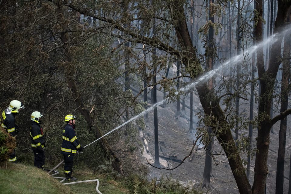 El incendio en el parque Suiza Bohemia  (2022) | Foto: René Volfík,  Český rozhlas