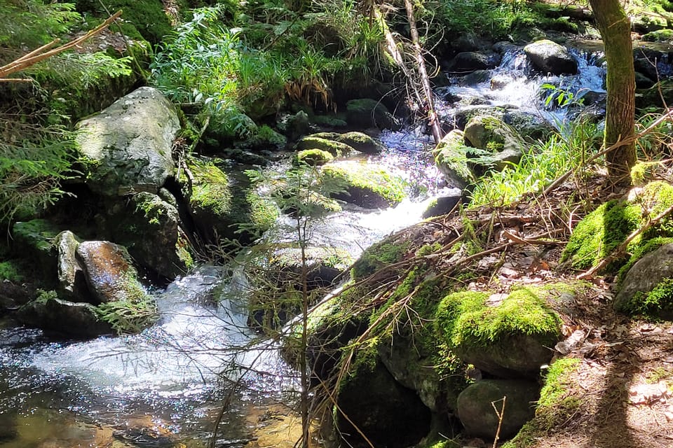 Cascadas Černý potok | Foto: Hana Slavická, Radio Prague International Cascadas Černý potok | Foto: Hana Slavická, Radio Prague International