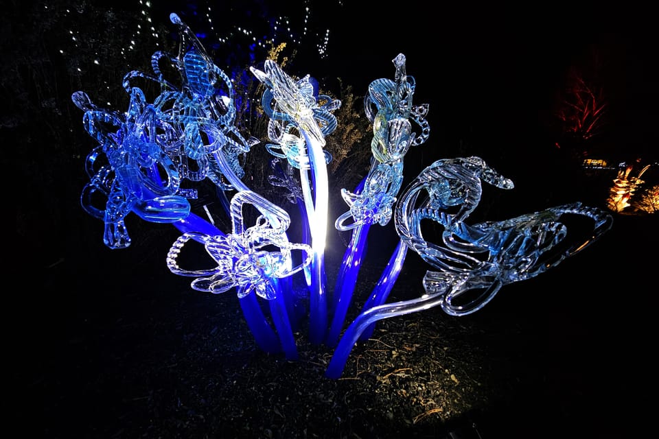 Exposición «Jardín de Cristal» en el Jardín Botánico de Praga | Foto: Štěpánka Budková, Radio Prague International Exposición «Jardín de Cristal» en el Jardín Botánico de Praga | Foto: Štěpánka Budková, Radio Prague International