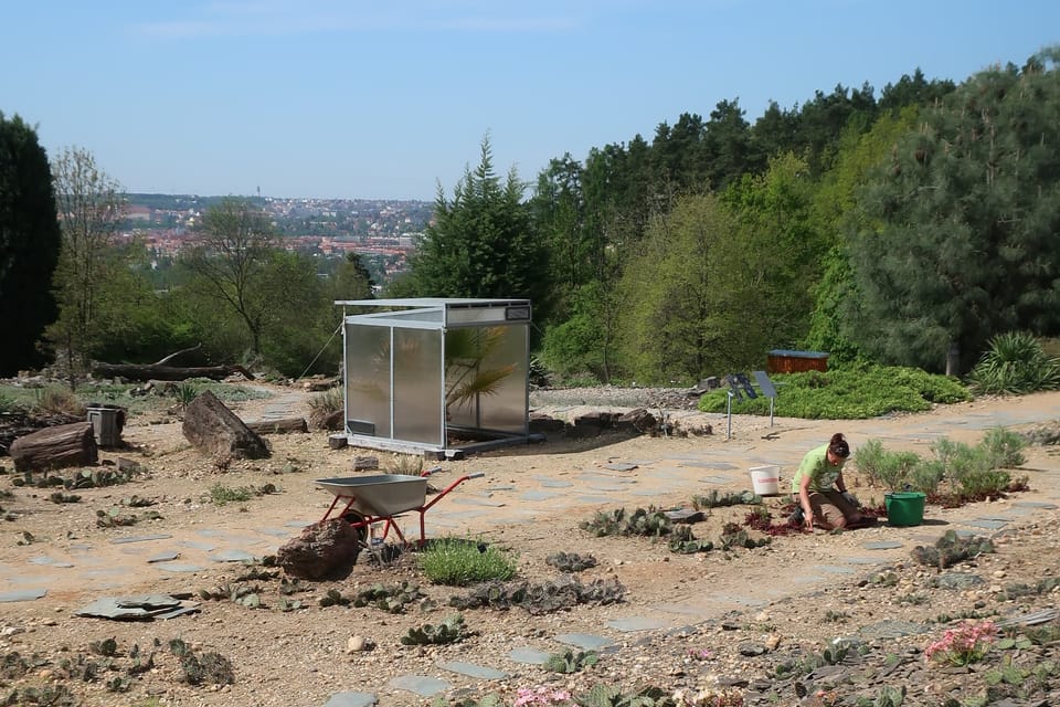 Foto: Štěpánka Budková,  Radio Prague International