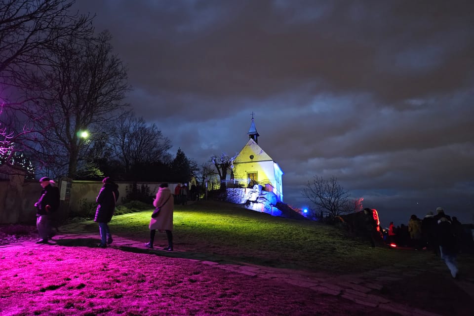 Exposición «Jardín de Cristal» en el Jardín Botánico de Praga | Foto: Štěpánka Budková, Radio Prague International Exposición «Jardín de Cristal» en el Jardín Botánico de Praga | Foto: Štěpánka Budková, Radio Prague International