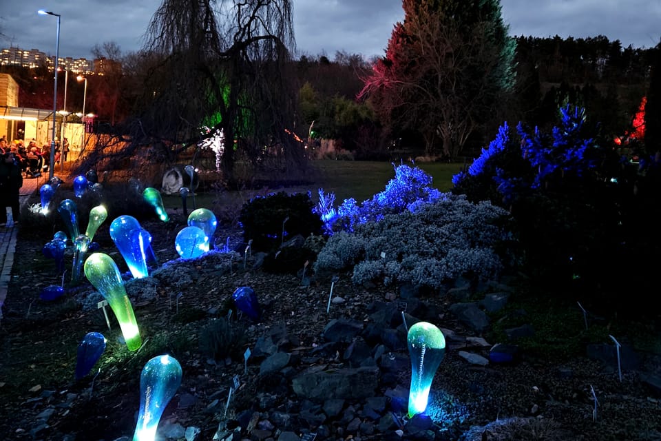 Exposición «Jardín de Cristal» en el Jardín Botánico de Praga | Foto: Štěpánka Budková, Radio Prague International Exposición «Jardín de Cristal» en el Jardín Botánico de Praga | Foto: Štěpánka Budková, Radio Prague International