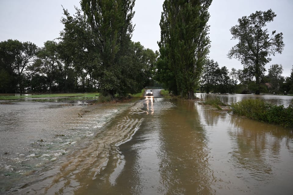 Novohradka | Foto: René Volfík,  iROZHLAS.cz