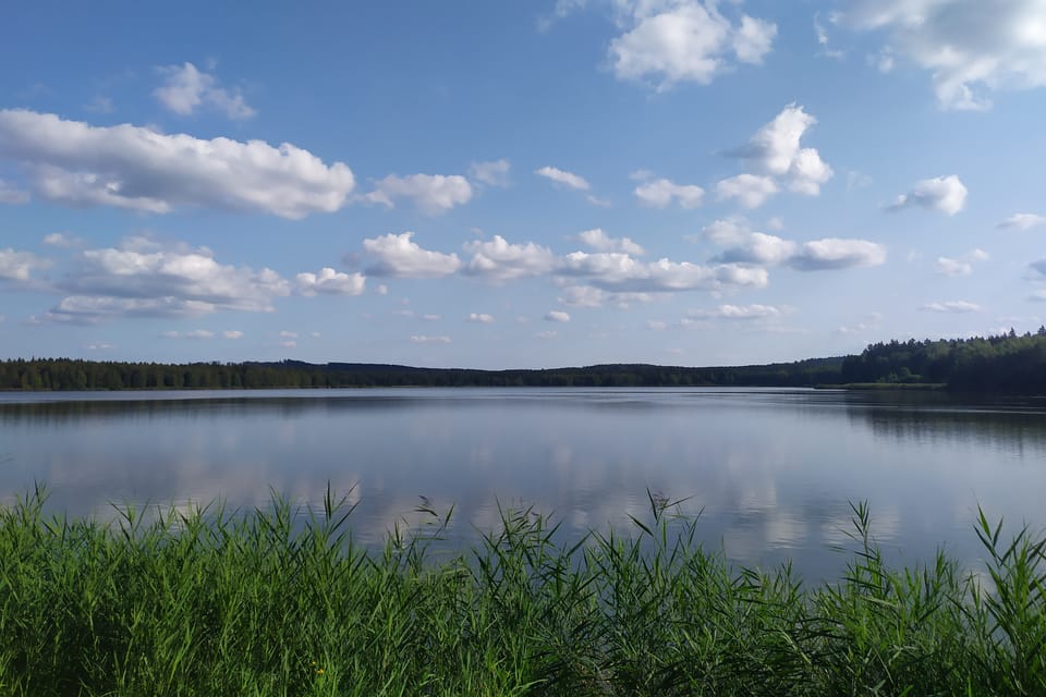 Estanques de Padrť | Foto: Kateřina Dobrovolná, Český rozhlas Estanques de Padrť | Foto: Kateřina Dobrovolná, Český rozhlas