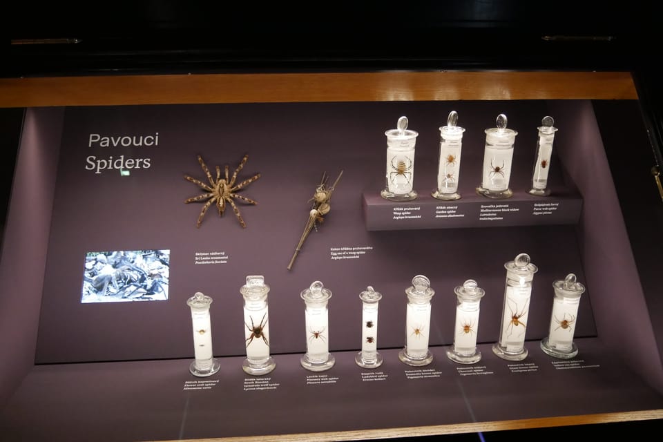 La exposición 'Milagros de la evolución' en el Museo Nacional | Foto: Zoé Samin, Radio Prague International La exposición 'Milagros de la evolución' en el Museo Nacional | Foto: Zoé Samin, Radio Prague International