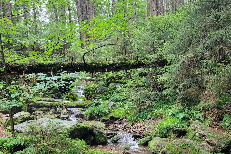 Cascadas Lukášovy vodopády | Foto: Hana Slavická,  Radio Prague International