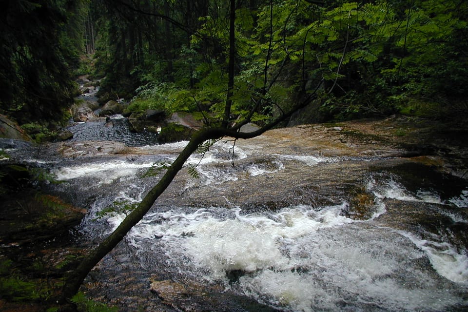 El río Černá Desná en las montañas Jizerské hory | Foto: Radio Prague International El río Černá Desná en las montañas Jizerské hory | Foto: Radio Prague International